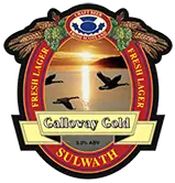 Galloway Gold Lager